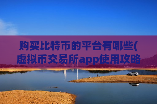 购买比特币的平台有哪些(虚拟币交易所app使用攻略分享)-第1张图片-币圈网 购买比特币的平台有哪些(虚拟币交易所app使用攻略分享)-第1张图片-币圈网
