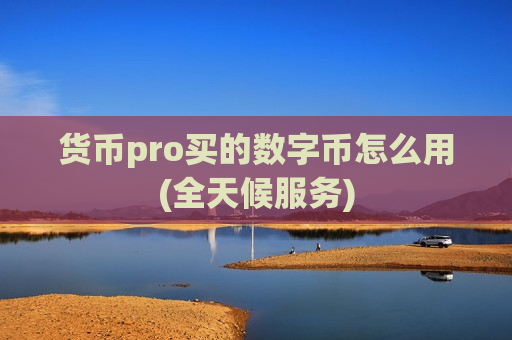 货币pro买的数字币怎么用(全天候服务)-第1张图片-币圈网 货币pro买的数字币怎么用(全天候服务)-第1张图片-币圈网