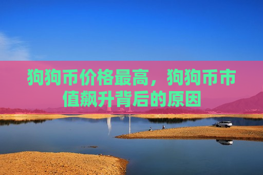 狗狗币价格最高,狗狗币市值飙升背后的原因-第1张图片-币圈网 狗狗币价格最高,狗狗币市值飙升背后的原因-第1张图片-币圈网