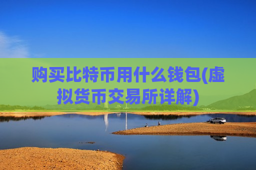 购买比特币用什么钱包(虚拟货币交易所详解)-第1张图片-币圈网 购买比特币用什么钱包(虚拟货币交易所详解)-第1张图片-币圈网