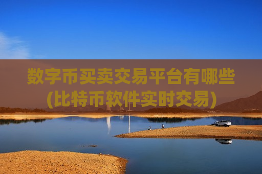 数字币买卖交易平台有哪些(比特币软件实时交易)-第1张图片-币圈网