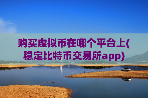 购买虚拟币在哪个平台上(稳定比特币交易所app)-第1张图片-币圈网 购买虚拟币在哪个平台上(稳定比特币交易所app)-第1张图片-币圈网