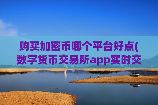 购买加密币哪个平台好点(数字货币交易所app实时交易)-第1张图片-币圈网