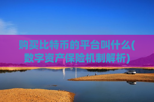购买比特币的平台叫什么(数字资产保险机制解析)-第1张图片-币圈网 购买比特币的平台叫什么(数字资产保险机制解析)-第1张图片-币圈网