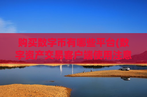 购买数字币有哪些平台(数字资产交易客户端使用注意事项)-第1张图片-币圈网 购买数字币有哪些平台(数字资产交易客户端使用注意事项)-第1张图片-币圈网