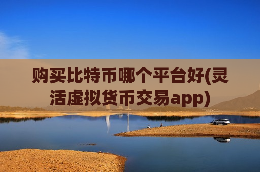 购买比特币哪个平台好(灵活虚拟货币交易app)-第1张图片-币圈网 购买比特币哪个平台好(灵活虚拟货币交易app)-第1张图片-币圈网