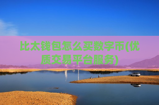 比太钱包怎么买数字币(优质交易平台服务)