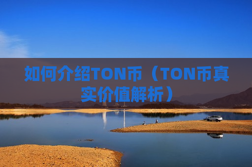 如何介绍TON币(TON币真实价值解析)-第1张图片-币圈网 如何介绍TON币(TON币真实价值解析)-第1张图片-币圈网