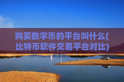 购买数字币的平台叫什么(比特币软件交易平台对比)-第1张图片-币圈网 购买数字币的平台叫什么(比特币软件交易平台对比)-第1张图片-币圈网