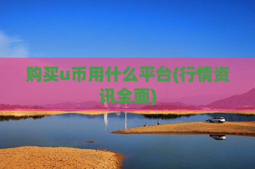 购买u币用什么平台(行情资讯全面)-第1张图片-币圈网