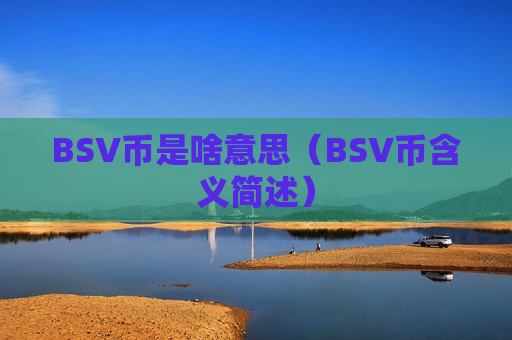 BSV币是啥意思（BSV币含义简述）-第1张图片-币圈网