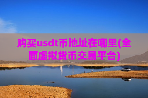 购买usdt币地址在哪里(全面虚拟货币交易平台)-第1张图片-币圈网
