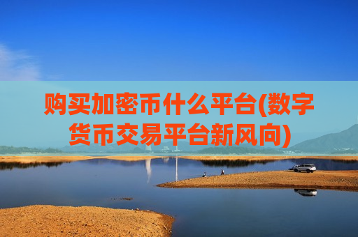 购买加密币什么平台(数字货币交易平台新风向)-第1张图片-币圈网 购买加密币什么平台(数字货币交易平台新风向)-第1张图片-币圈网