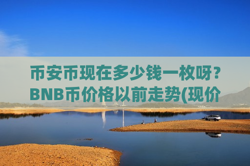 币安币现在多少钱一枚呀？BNB币价格以前走势(现价5005.91元)-第1张图片-币圈网