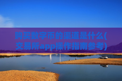 购买数字币的渠道是什么(交易所app操作指南参考)-第1张图片-币圈网 购买数字币的渠道是什么(交易所app操作指南参考)-第1张图片-币圈网