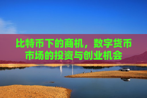 比特币下的商机，数字货币市场的投资与创业机会-第1张图片-币圈网