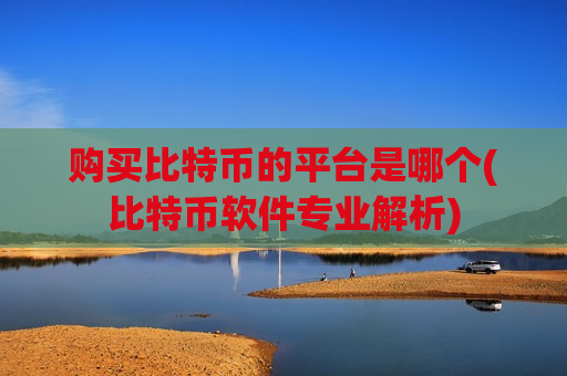 购买比特币的平台是哪个(比特币软件专业解析)-第1张图片-币圈网 购买比特币的平台是哪个(比特币软件专业解析)-第1张图片-币圈网