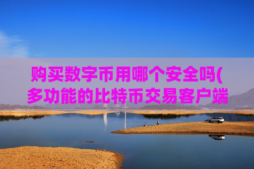 购买数字币用哪个安全吗(多功能的比特币交易客户端app)-第1张图片-币圈网