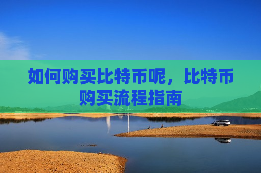 如何购买比特币呢,比特币购买流程指南-第1张图片-币圈网 如何购买比特币呢,比特币购买流程指南-第1张图片-币圈网