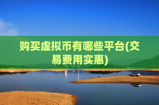 购买虚拟币有哪些平台(交易费用实惠)-第1张图片-币圈网