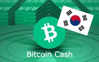 山寨币的未来趋势是什么