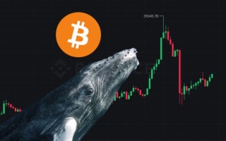 狗狗币还有升值空间吗多少钱